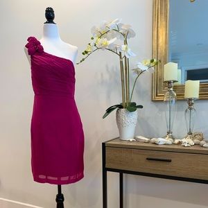 Cappucini - Purple/Fushia Dress - Size M